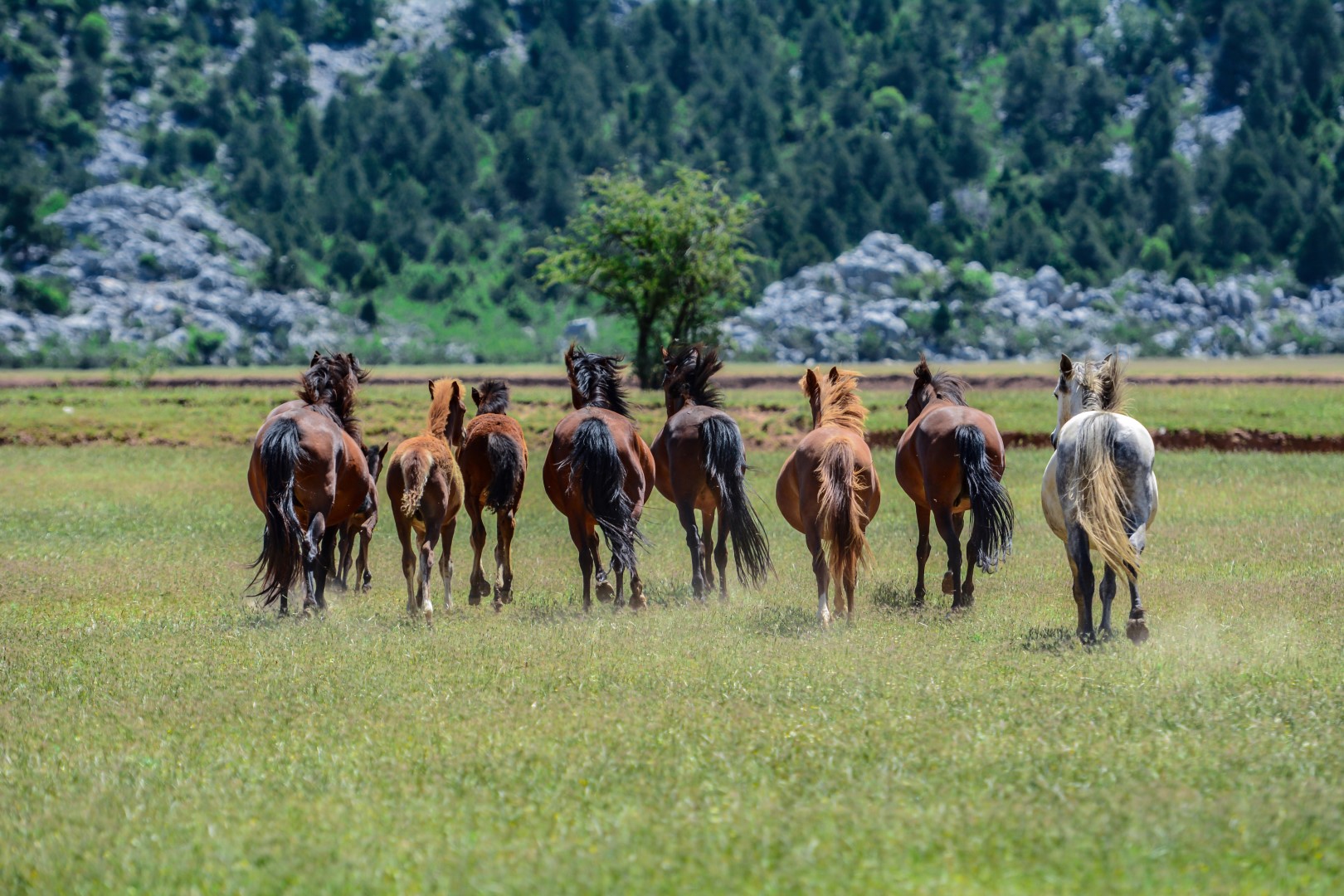 NATIONAL PARK NORTH VELEBIT